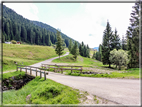 foto Da Forcella Montalon a Val Campelle